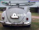 Volkswagen Beetle Euro style bumper (1955-1972) 